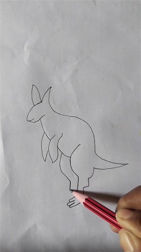 Kangaroo 🦘 Drawing ll Very Easy Kangaroo art ll #easydrawing #art #viral #shorts