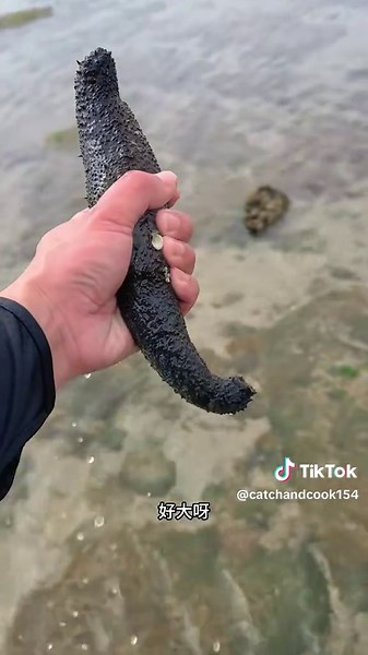 Bring your own seafood buffet #catchandeat #seafood #oceanlife #fyp #outdoorcooking #outdoors #sea