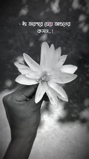 astagfirullah allahummagfirli 🤲🤲🤲 #unfrezzmyaccount #foryou #duet #islamicstoriesinurduandhindi