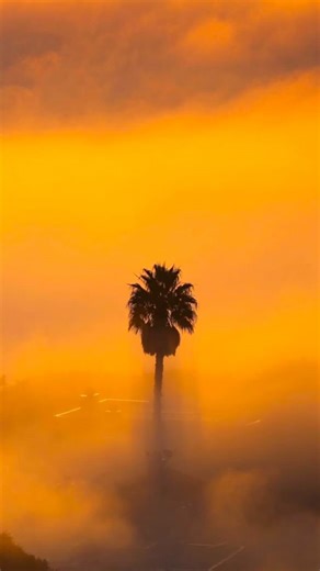 Dr. Robin Barrett, Pharm D., NASM-CPT on Instagram: ""