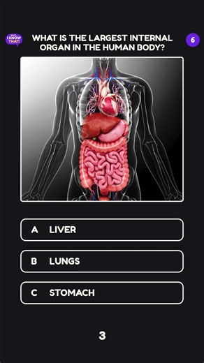 What Is the Largest Internal Organ in the Human Body? 🤔 #generalknowledge #trivia #quiz