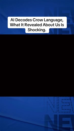 AI Decodes Crow Language Insights and Findings