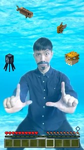 1.2M views · 10K reactions | Minecraft Asian version #reels #explore #explorepage #minecraft #gaming #game #games #reelsinstagram #fyp #luziwei #relatable | LuZiwei | Facebook