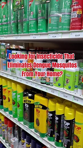 Eliminate Dengue Mosquitoes with Rage Insecticide | Buy One, Get One Free!
