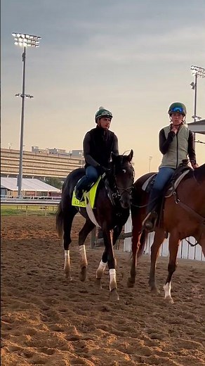 Kentucky Derby Contender Profile: ALBUS