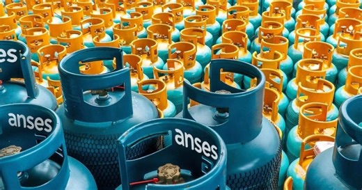 Anses confirmó el monto y fecha de pago del Programa Hogar en mayo