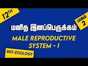 12th BIO-ZOOLOGY | Chapter 2 | PART 2 | Human Reproduction | Male Reproductive System 1