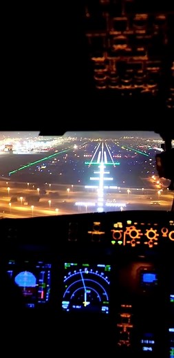 Airbus A330-900neo Landing at Dubai International