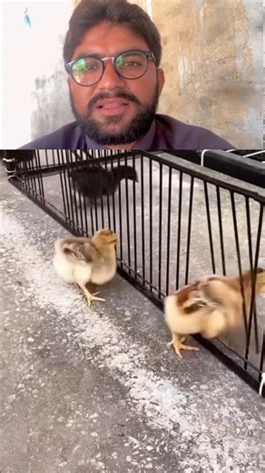 Daily Reaction Laugh Cry & Feel Every Moment 🎭😋#Reaction #shorts #ComedyReaction #DailyReaction