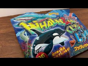 何が出るかな？クジラアンドコ ディアゴスティーニ 『くじら&Co.ビッグ』