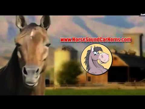 Horse Whinny Sounds Musical Car Horn