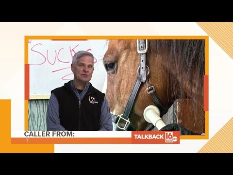 Calls of congratulations, pet adoptions, and winter woes | Talkback 16