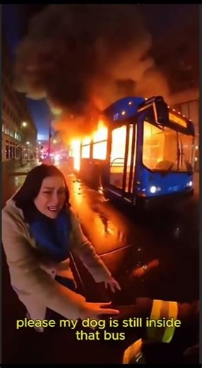 Firefighter Dives Into Burning Bus to Save a Trapped Puppy 🚌🔥🐶#rescue #firefighter