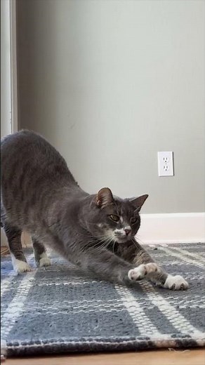 How to Roll Beeswax Candles | The Easiest Candle You’ll Ever Make!