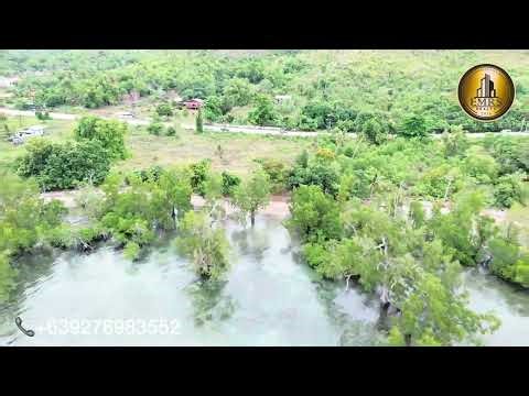 🌴 1 HECTARE BEACHFRONT LOT FOR SALE IN SAN RAFAEL, PUERTO PRINCESA CITY, PALAWAN