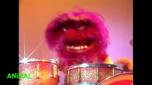 Muppet Songs: Animal - Drum Solo | Ms. Dawn M. Nevills B.A. - DIP Psych-P.I.-Pol. Sci.