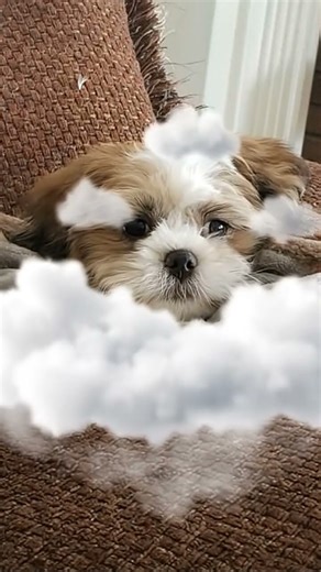 My Cloud