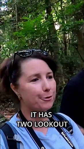 Visit Purlingbrook Falls in Springbrook National Park