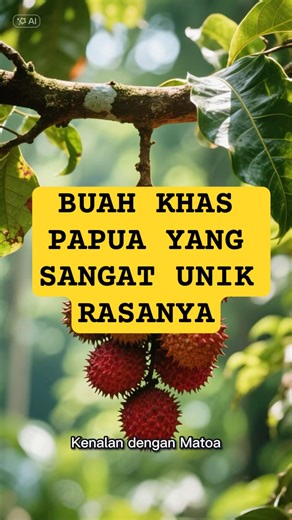Buah matoa #buahmatoa #faktamenarik #faktaunik