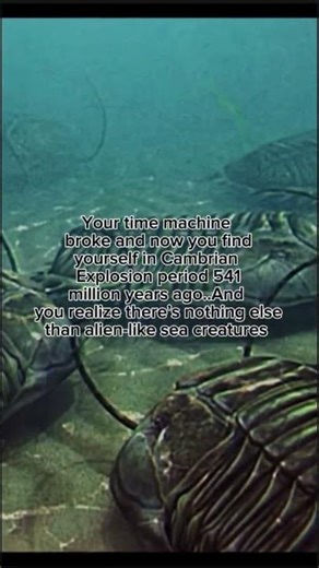 POV your Time Machine broke..Cambrian Era