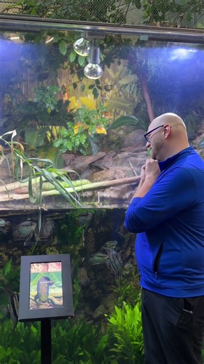 Unforgettable Moments at Shedd Aquarium