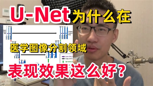 强推！Unet网络为什么在医学图像分割效果这么好？手把手带你3小时解析U-Net模型原理 实战，附源码，全篇通俗易懂！AI/语义分割/图像分割/毕设