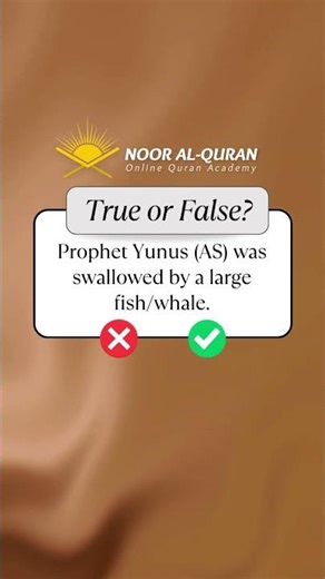 The Story of Prophet Yunus (AS) and the Whale | Lessons from the Qur’an