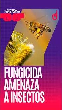 Fungicida amenaza a insectos