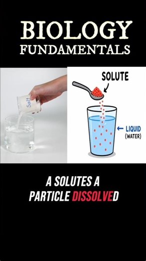 Osmosis Explained in a Rap #osmosis #biology #cells