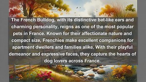 Vive la France: Exploring the Top 10 Favorite Pets in France