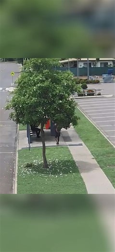 12 reactions | In Darwin, private security firms employed by the...