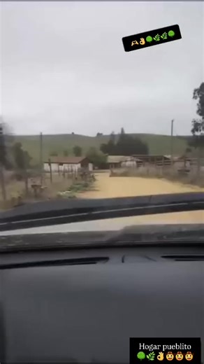 FAMILIA PUEBLITO 🫶🫶🫶🫶🔥🔥🌳🌳🌳🌳🤠🤠🤠🤠🤠🤠🐮🐄🐄🐄🐮🐄🐮🐮🐮🐴🐎🐎🐎🐴🐎🐎🐴 PUEBLO MAGICO VIAJE RUTA PUEBLO NETON VEGA GABITO BALLESTEROS CODIGO FN CORRIDOS🐴🐎 #FYPPPP #tiktok #fyyyyyyyyyyyyyyyy #tiktok #FYPPPP