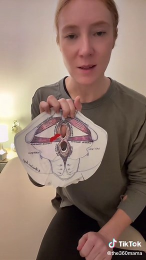 Understanding the Healing Process of an Episiotomy Scar