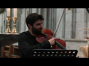 Joseph Wölfl, Symphonie D-Dur - Transkription, Ensemble Altera pars