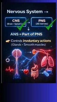 Sympathetic vs Parasympathetic (Easy Trick) 😎 within 2 mint | ANS pharmacology #shorts