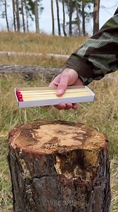 Quick and Simple Fire-Starting Method! | Awesome
