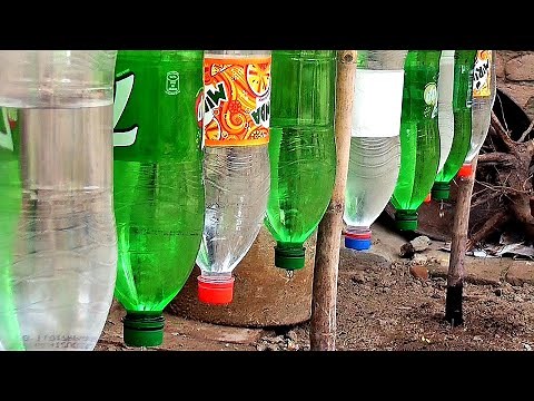 Plastic Bottle Drip Water Irrigation System Very Simple Easy ll DIY home drip irrigation system