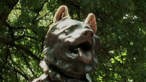 3.3K views · 118 reactions | Have you been following the 2016 Iditarod? Watch our visit to Central Park with expert Eric Silver and Dylan's Vintage Minute host Dylan Leavitt to learn more about the statue of Balto! | Antiques Roadshow l PBS | Facebook