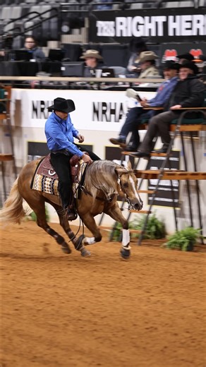 220.5 for MAGNUM GOLD and Erik Caddeo for Marilyn Overgaard / Wright Reining LLC in the NRHA Open Futurity Prelims! #ErikCaddeoPerformanceHorses #DeniroBoots #GregDarnallBitsAndSpurs #Nutrena #TeamExcelSupplements #MircoUgoliniLavillaProReiningSaddle #LavillaPro #ShowStoppin @Excel_Supplements #ChelseaSchneiderMedia | Erik Caddeo Performance Horses