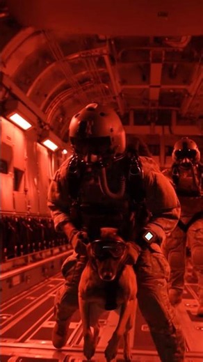 Night Special Operations K9 Jump at Extreme Altitude