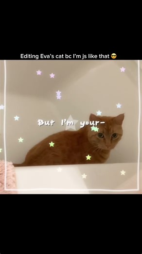 EDITING EVA’S CAT! #Kit #JUNNIE