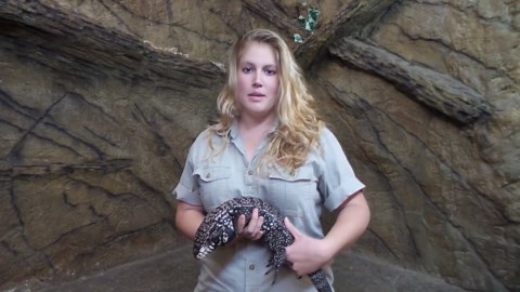 metabolic bone disease in tegus