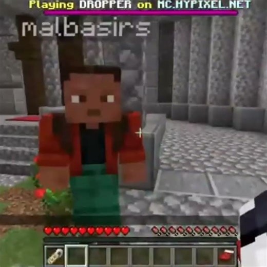 Default Minecraft Character tried blocking up Loona skin #foryou #minecraft #loona #livestream #live