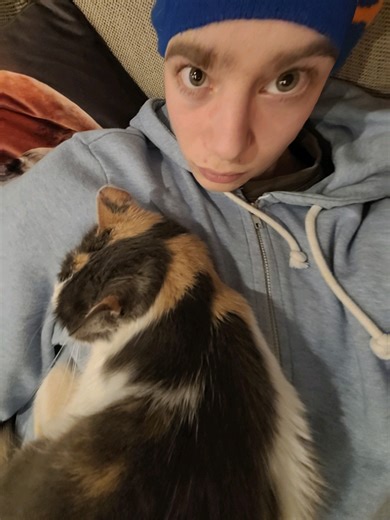 #lovefool #thecardigans #dance #catlover #viral