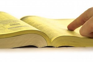 Which is the Best Website to find all Types of Directories?
