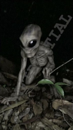 Alien Confidential 1