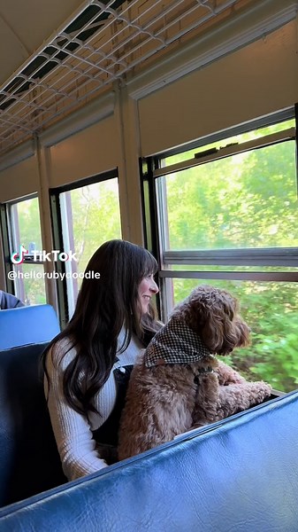 Mel + Ruby | Dog-friendly Life on TikTok