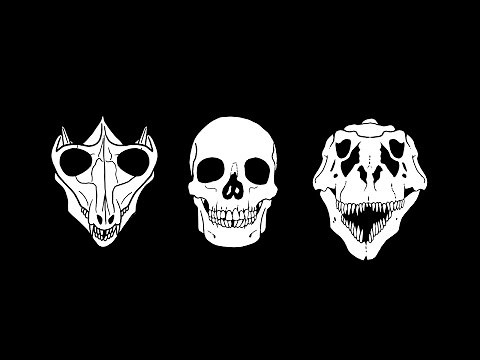 The DEADLIEST Pattern in Nature