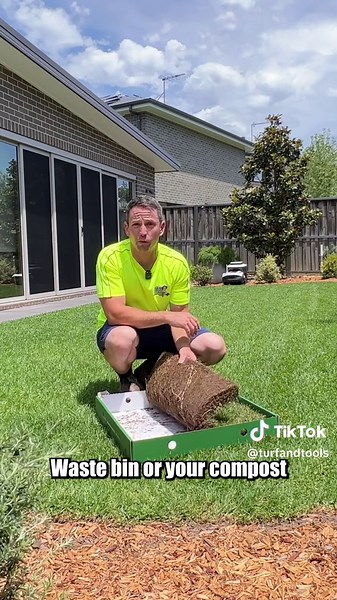 Protecting Your Lawn from Dogs: Effective Strategies