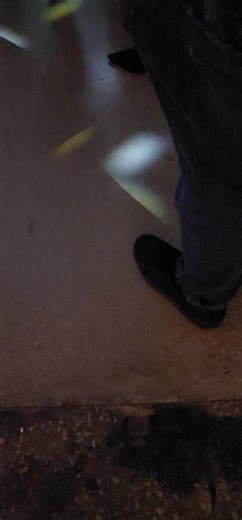 Strolling with Alpha Phi Alpha Fraternity